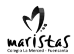 Logo Maristas