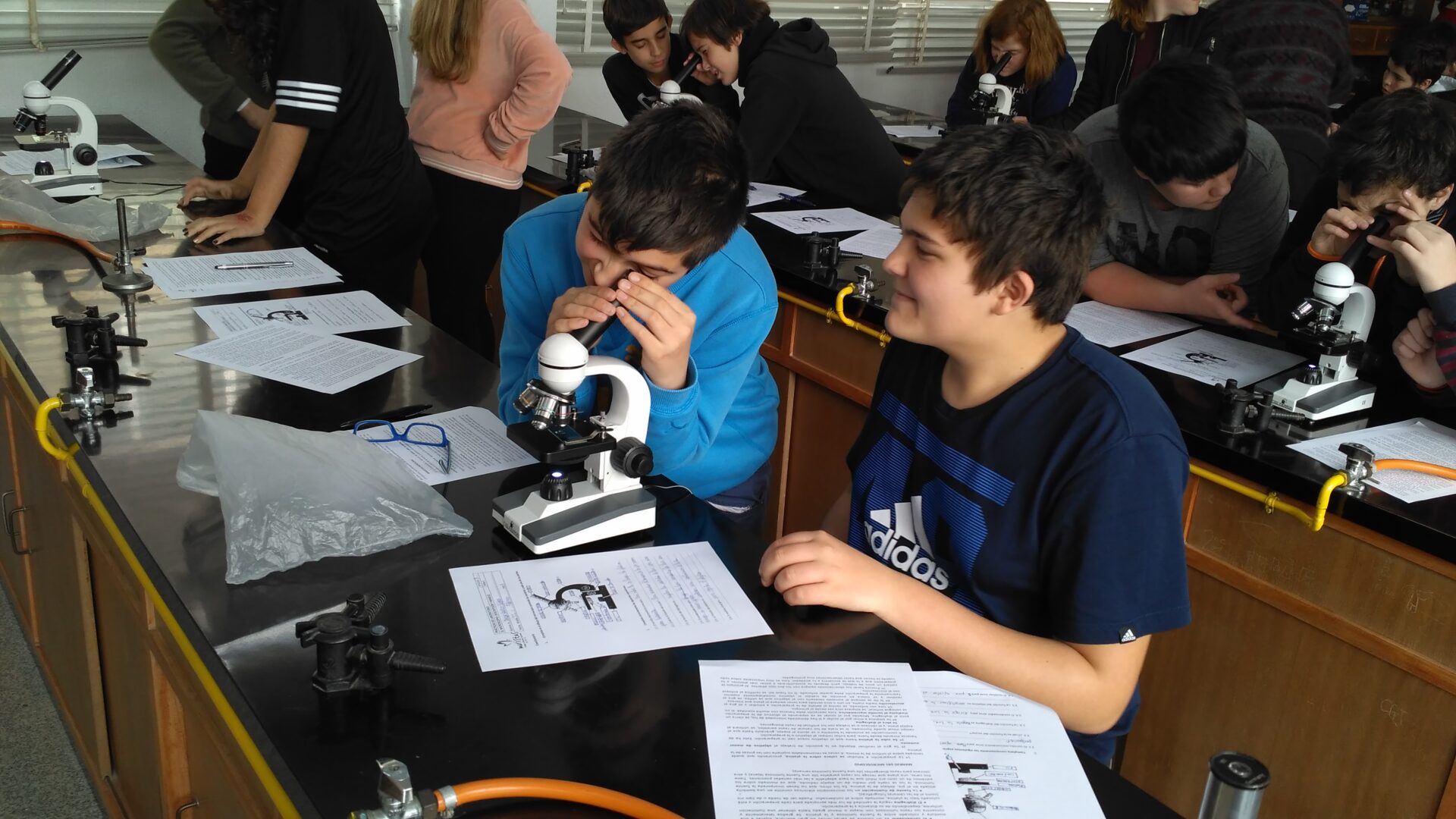 Microbiología 1ºESO