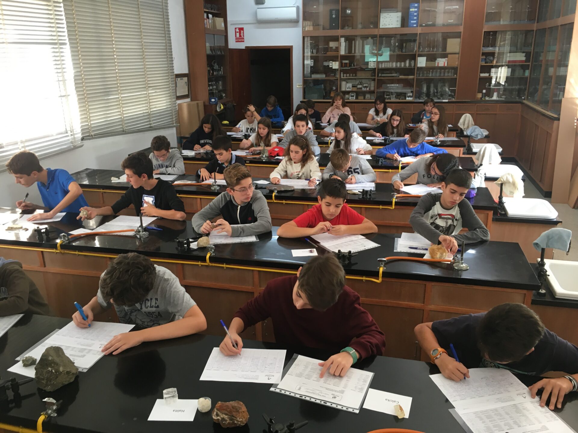 Laboratorio 1°ESO