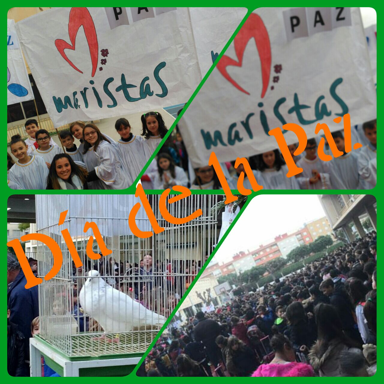 SEMANA DE LA PAZ EN MARISTAS MURCIA 17-18