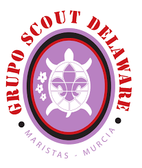 Festival Solidario Grupo Scout Delaware