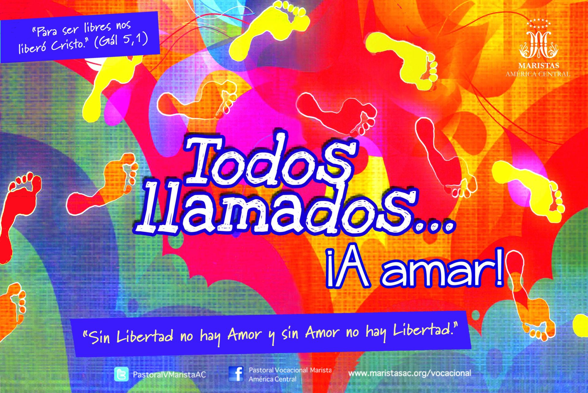 Inmersión 20, 4-2-2019
