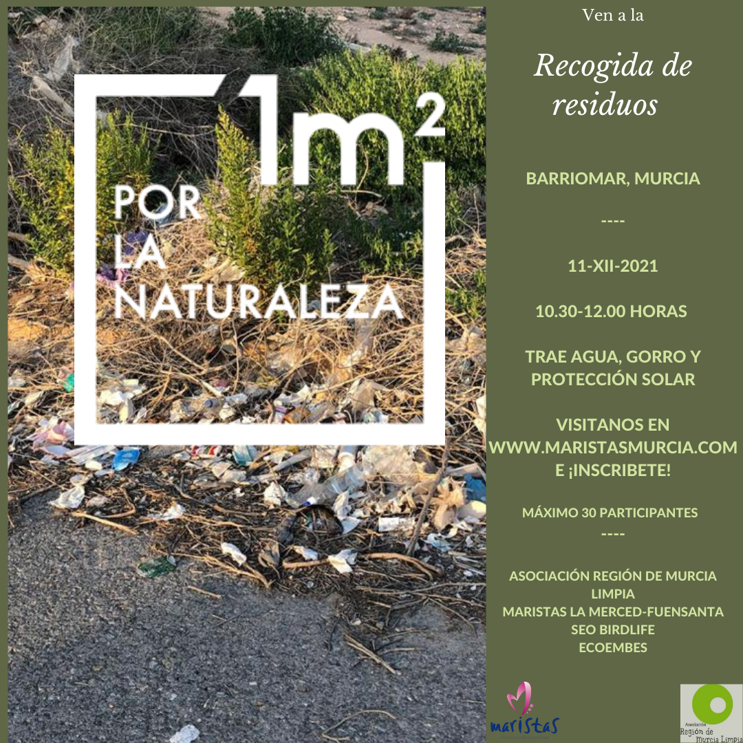 Voluntariado Ambiental